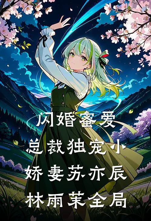 闪婚蜜爱，总裁独宠小娇妻苏亦辰林雨茉全局