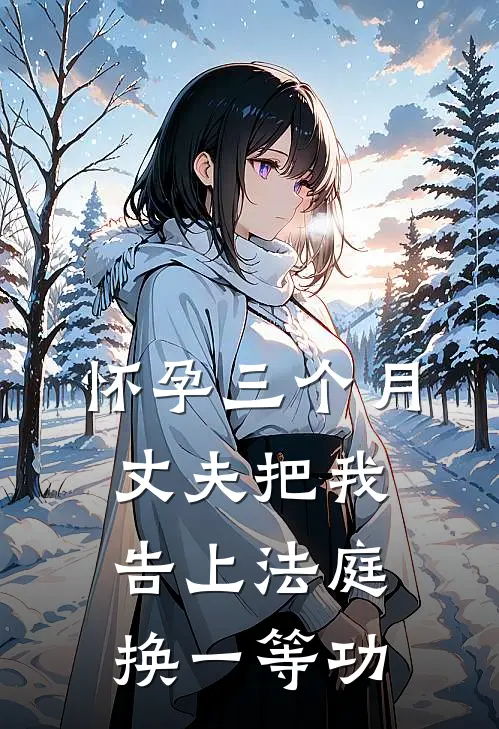 怀孕三个月，丈夫把我告上法庭换一等功