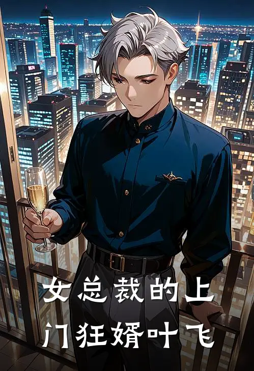 女总裁的上门狂婿叶飞