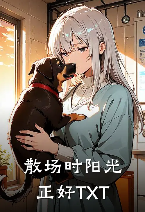 散场时阳光正好TXT