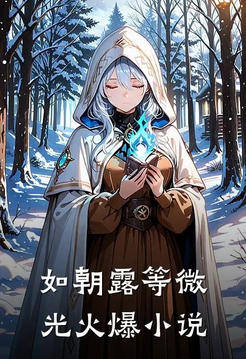 如朝露等微光火爆小说