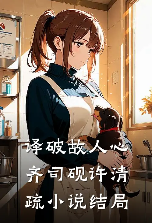 译破故人心齐司砚许清疏小说结局