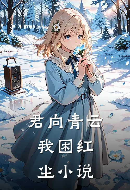 君向青云，我困红尘小说