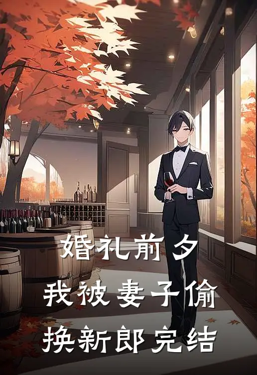 婚礼前夕,我被妻子偷换新郎完结了吗