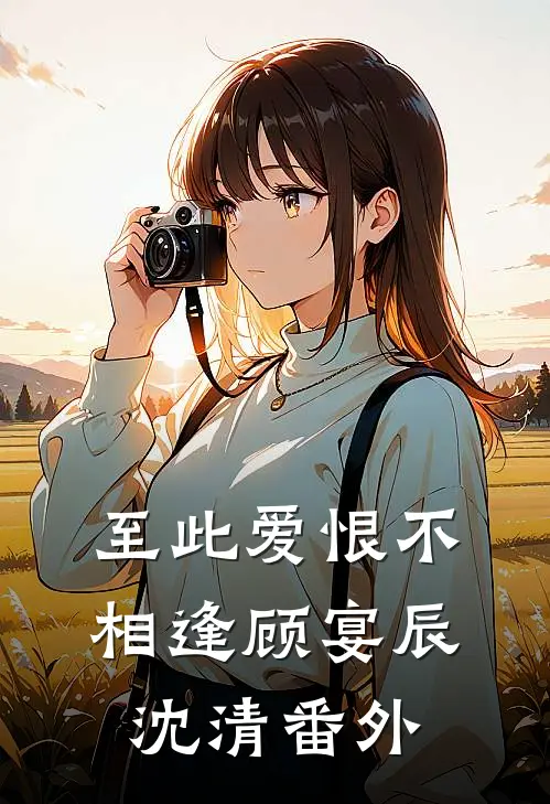 至此爱恨不相逢顾宴辰沈清番外