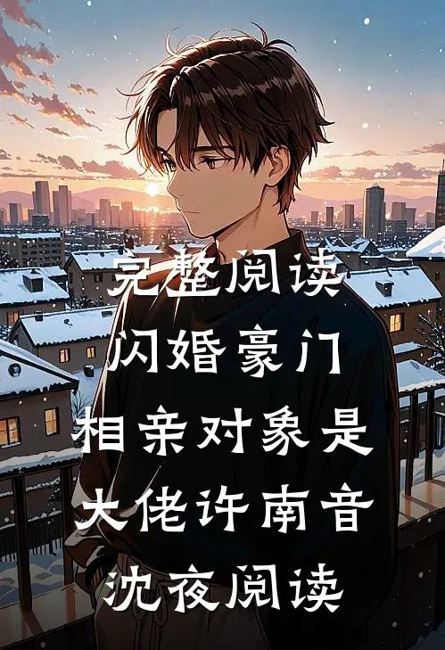 完整阅读闪婚豪门：相亲对象是大佬许南音沈夜阅读