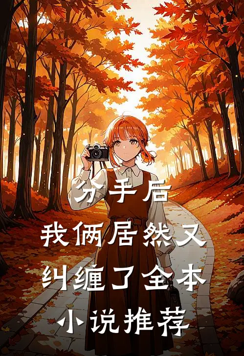 分手后，我俩居然又纠缠了全本小说推荐