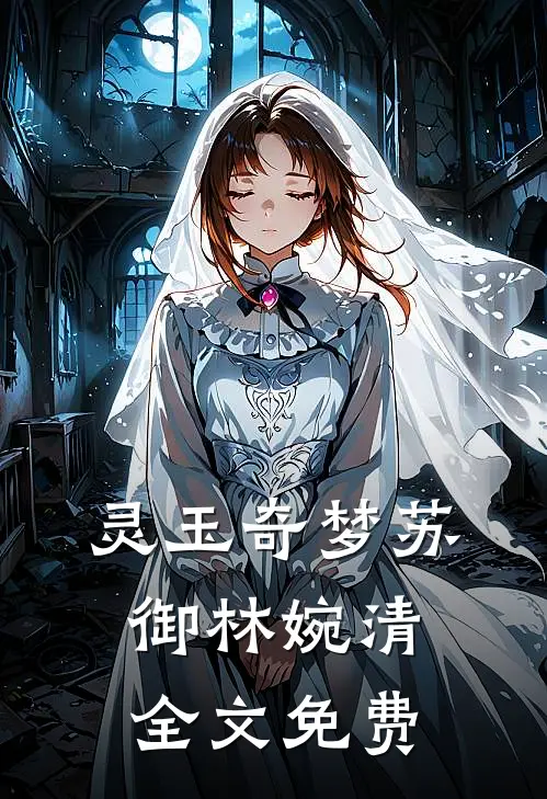 灵玉奇梦苏御林婉清全文免费