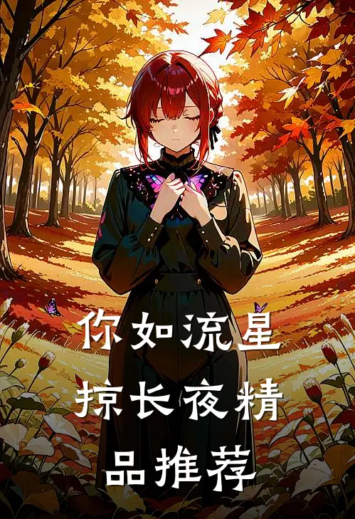你如流星掠长夜精品推荐