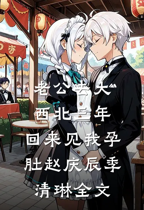 老公去大西北三年，回来见我孕肚赵庆辰季清琳全文