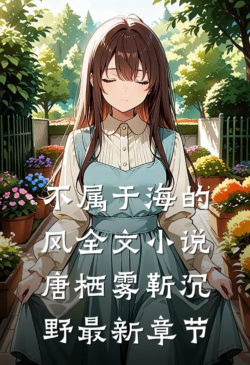 不属于海的风全文小说唐栖雾靳沉野最新章节