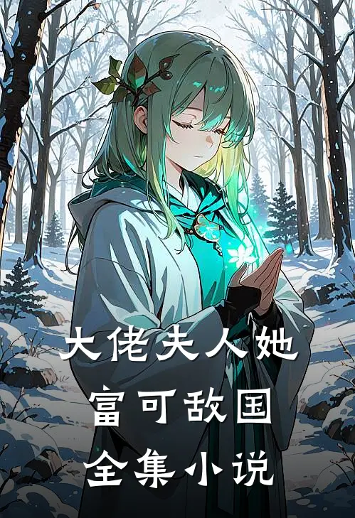 大佬夫人她富可敌国全集小说