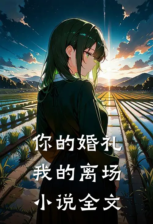 你的婚礼，我的离场小说全文