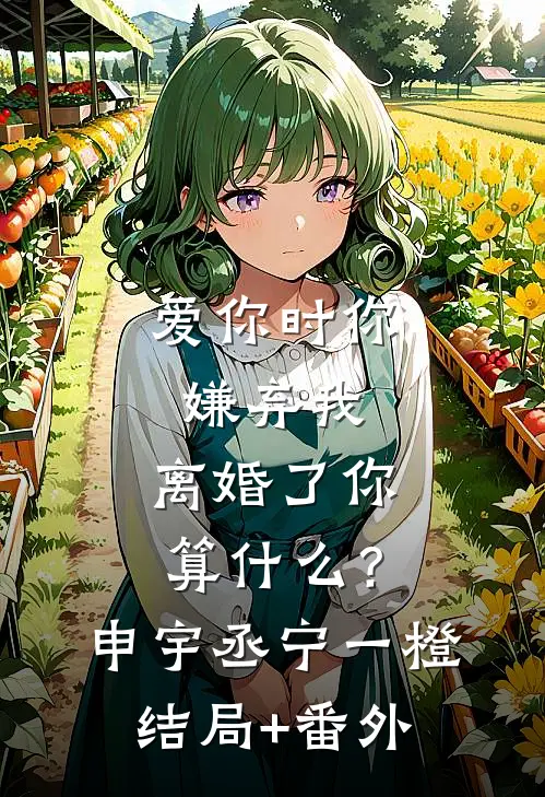 爱你时你嫌弃我，离婚了你算什么？申宇丞宁一橙结局+番外