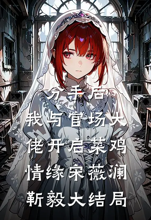 分手后，我与官场大佬开启菜鸡情缘宋薇澜靳毅大结局