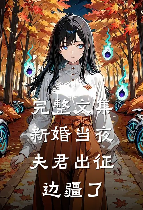 完整文集新婚当夜，夫君出征边疆了