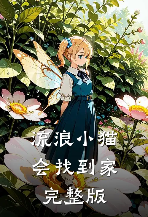 流浪小猫会找到家完整版