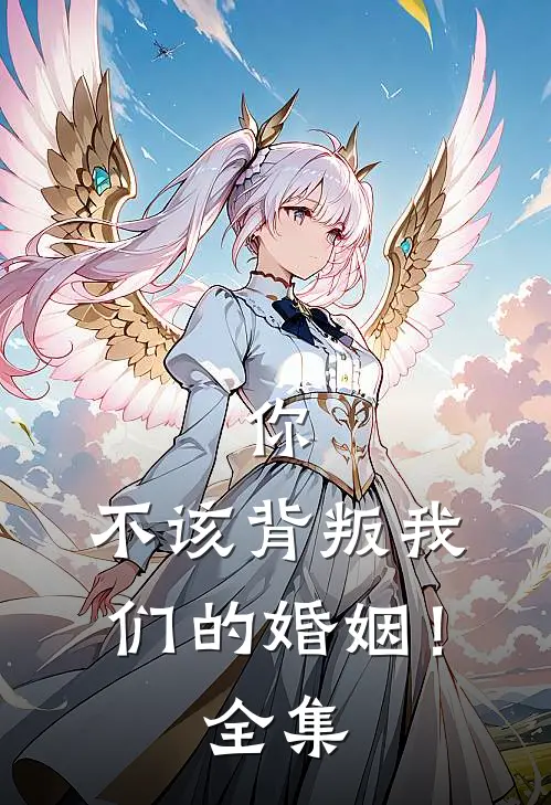 “你，不该背叛我们的婚姻！ 全集