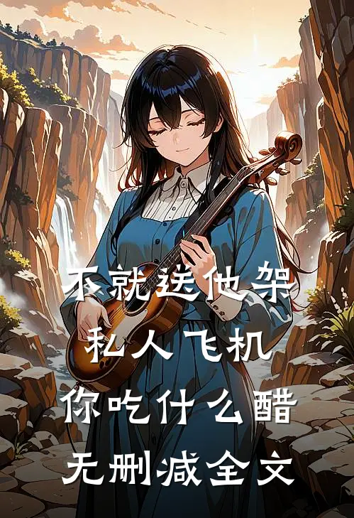 不就送他架私人飞机，你吃什么醋无删减全文