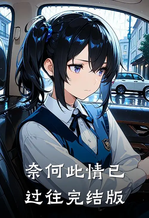 奈何此情已过往完结版