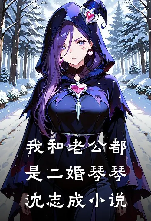 我和老公都是二婚琴琴沈志成小说