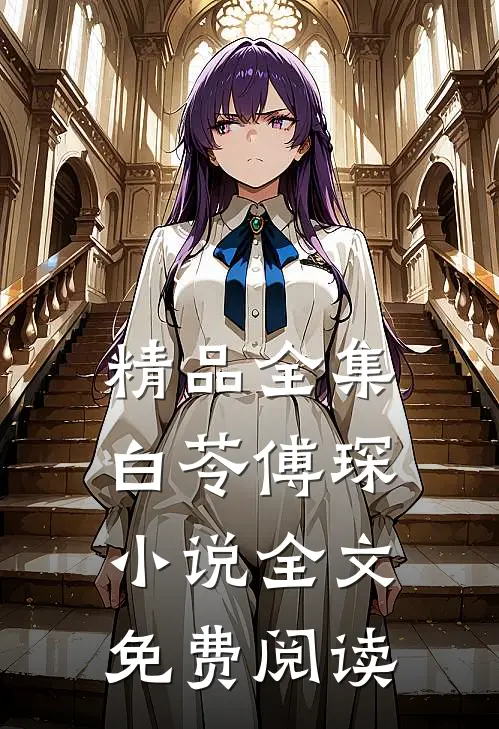 精品全集白苓傅琛小说全文免费阅读