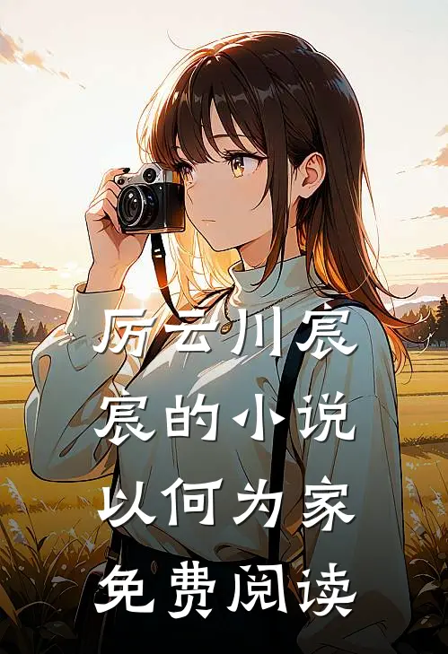 厉云川宸宸的小说以何为家免费阅读