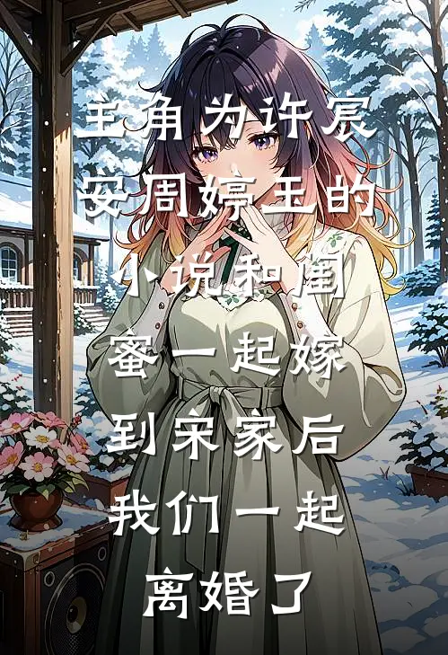 主角为许宸安周婷玉的小说和闺蜜一起嫁到宋家后，我们一起离婚了
