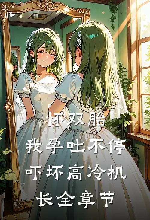 怀双胎，我孕吐不停吓坏高冷机长全章节