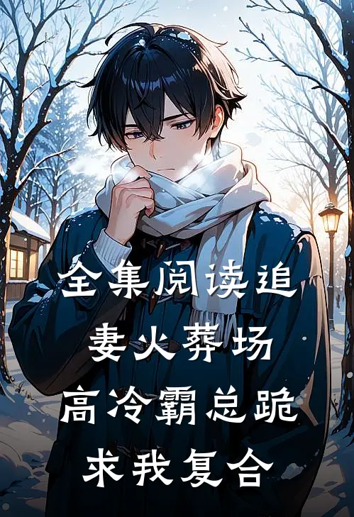 全集阅读追妻火葬场：高冷霸总跪求我复合