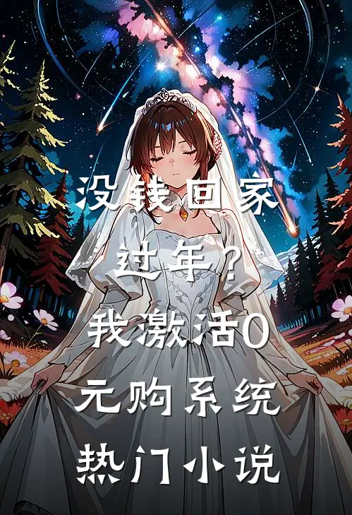 没钱回家过年？我激活0元购系统热门小说