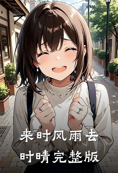 来时风雨去时晴完整版