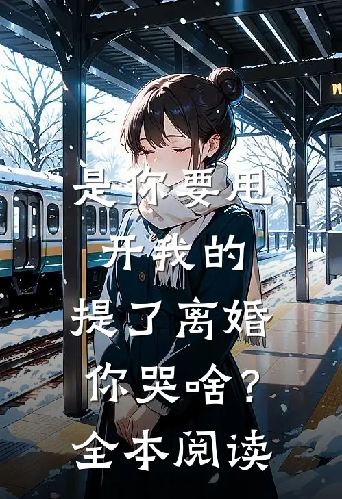 是你要甩开我的，提了离婚你哭啥？全本阅读