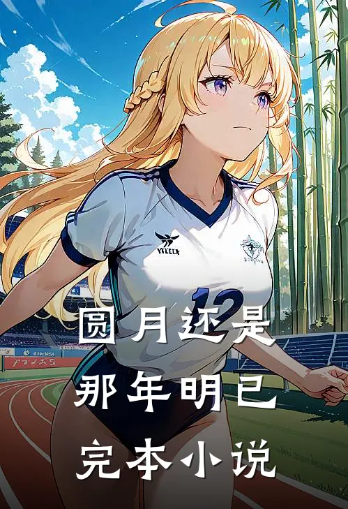 圆月还是那年明已完本小说