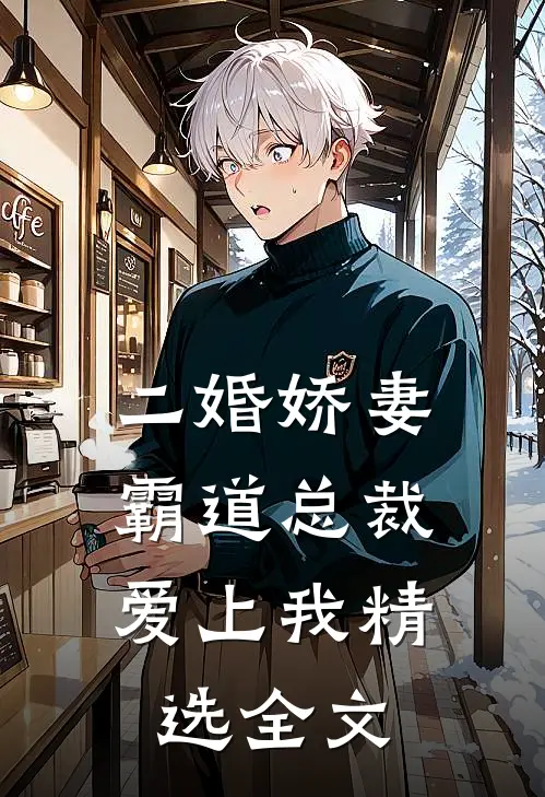 二婚娇妻：霸道总裁爱上我精选全文