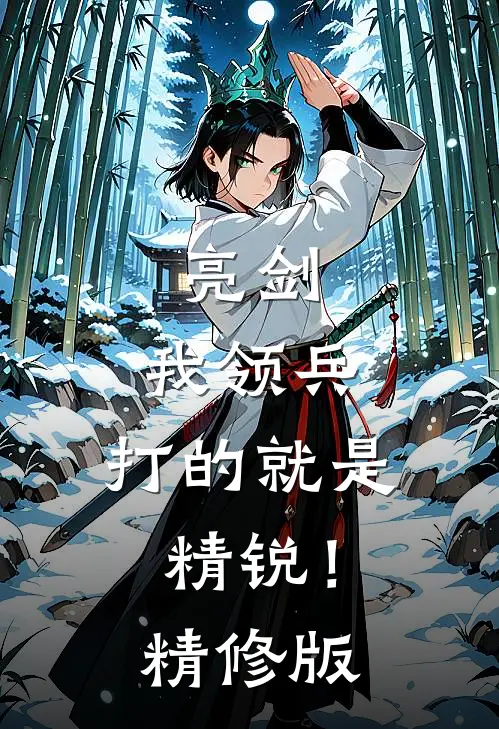 亮剑我领兵,打的就是精锐!精修版在线观看