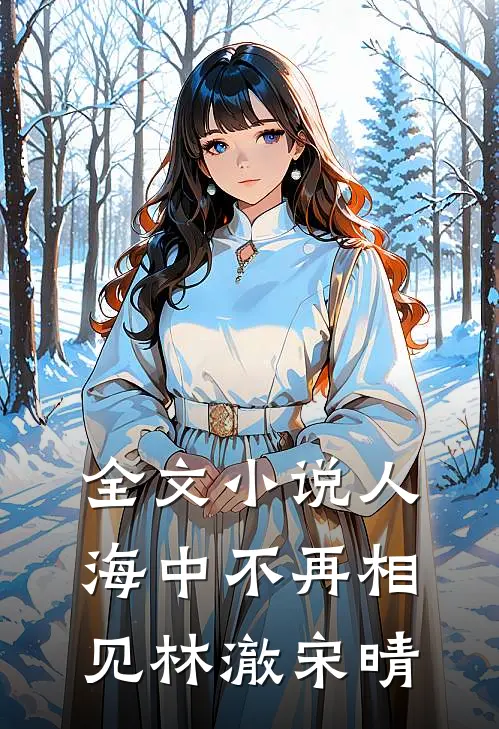 全文小说人海中不再相见林澈宋晴
