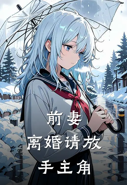 前妻，离婚请放手主角