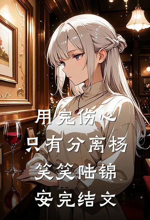 用完伤心，只有分离杨笑笑陆锦安完结文