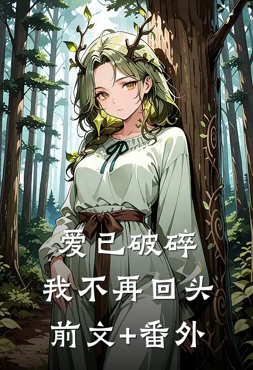 爱已破碎，我不再回头前文+番外