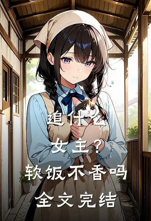 追什么女主？软饭不香吗全文完结