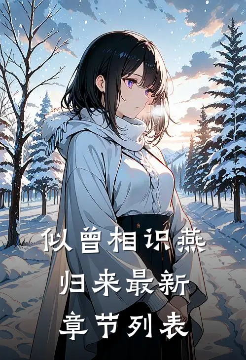 似曾相识燕归来最新章节列表