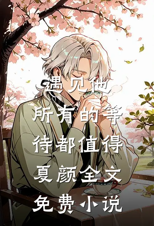 遇见他，所有的等待都值得夏颜全文免费小说