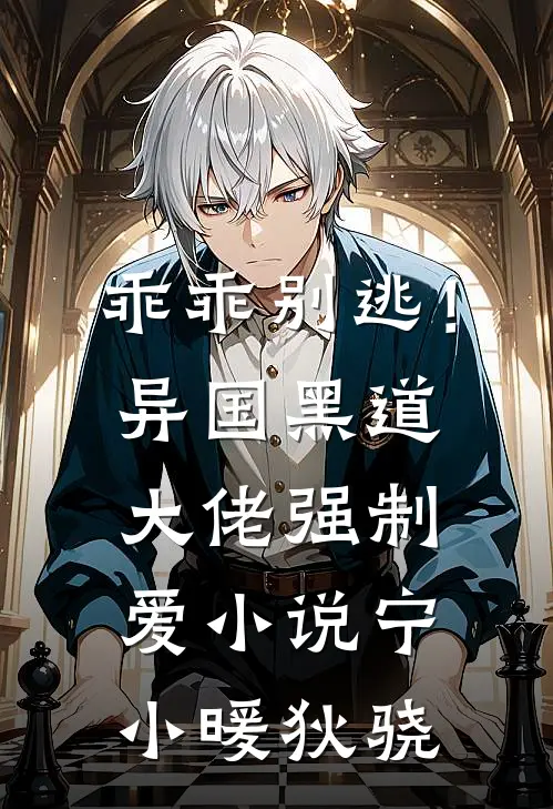 乖乖别逃！异国黑道大佬强制爱小说宁小暖狄骁