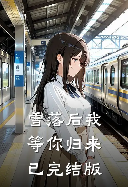 雪落后我等你归来已完结版